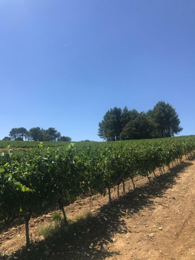 Bastide Bellugue Maison D'Hotes Reseau Bienvenue A La Ferme A 3 Minutes De Lourmarin Cadenet Zewnętrze zdjęcie